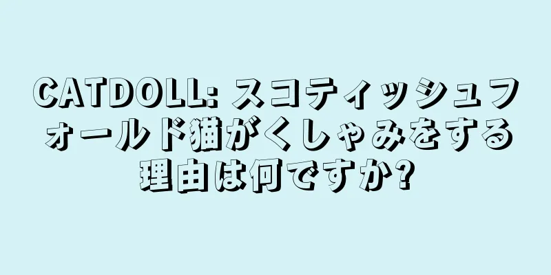 CATDOLL: スコティッシュフォールド猫がくしゃみをする理由は何ですか?