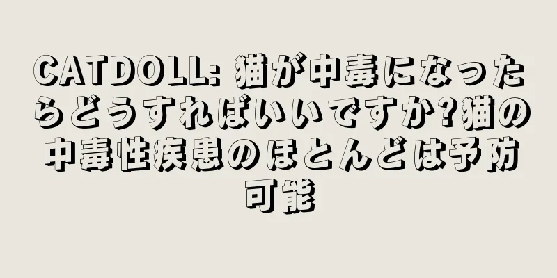 CATDOLL: 猫が中毒になったらどうすればいいですか?猫の中毒性疾患のほとんどは予防可能