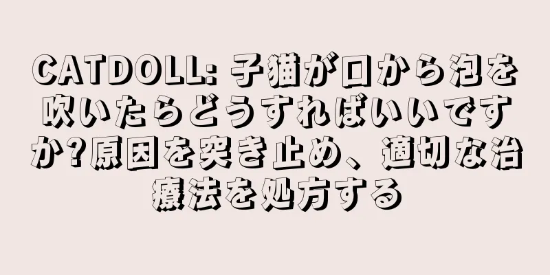 CATDOLL: 子猫が口から泡を吹いたらどうすればいいですか?原因を突き止め、適切な治療法を処方する