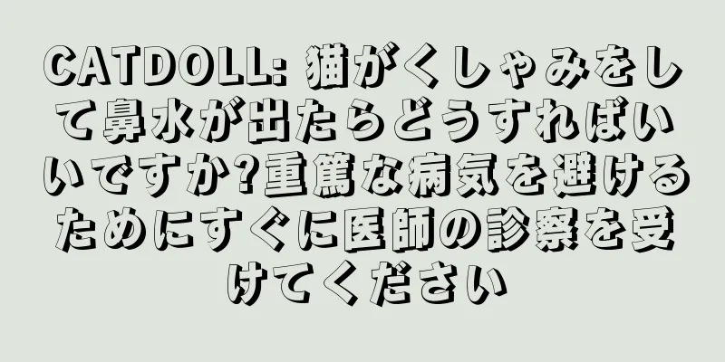 CATDOLL: 猫がくしゃみをして鼻水が出たらどうすればいいですか?重篤な病気を避けるためにすぐに医師の診察を受けてください
