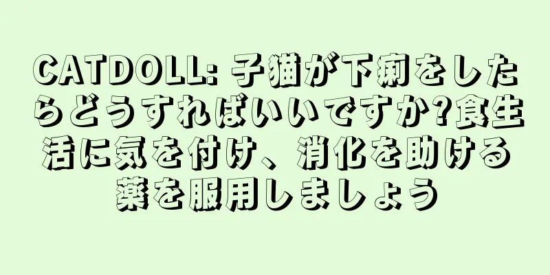 CATDOLL: 子猫が下痢をしたらどうすればいいですか?食生活に気を付け、消化を助ける薬を服用しましょう