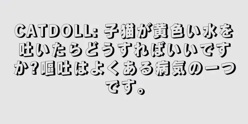 CATDOLL: 子猫が黄色い水を吐いたらどうすればいいですか?嘔吐はよくある病気の一つです。