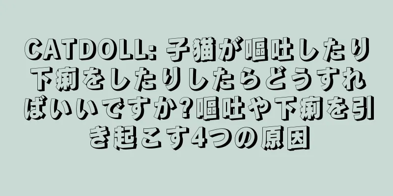 CATDOLL: 子猫が嘔吐したり下痢をしたりしたらどうすればいいですか?嘔吐や下痢を引き起こす4つの原因