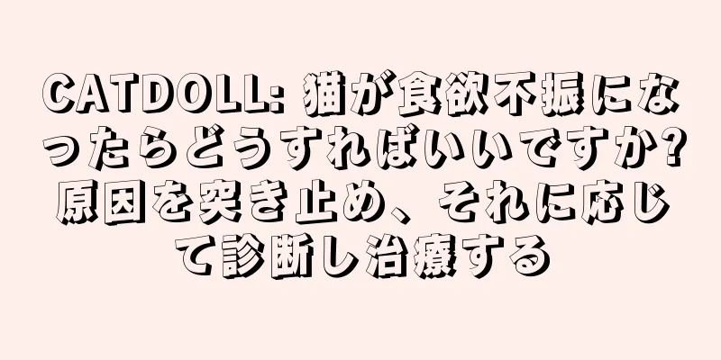 CATDOLL: 猫が食欲不振になったらどうすればいいですか?原因を突き止め、それに応じて診断し治療する