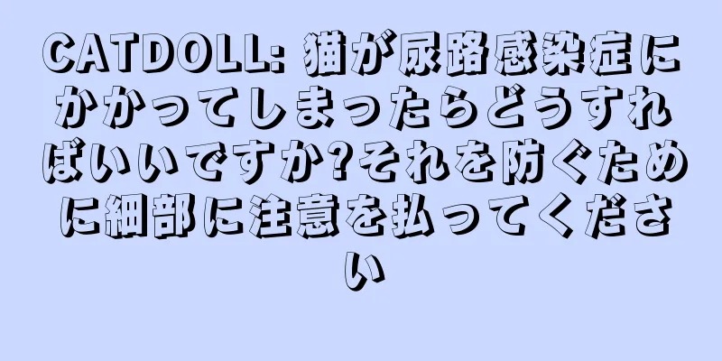 CATDOLL: 猫が尿路感染症にかかってしまったらどうすればいいですか?それを防ぐために細部に注意を払ってください