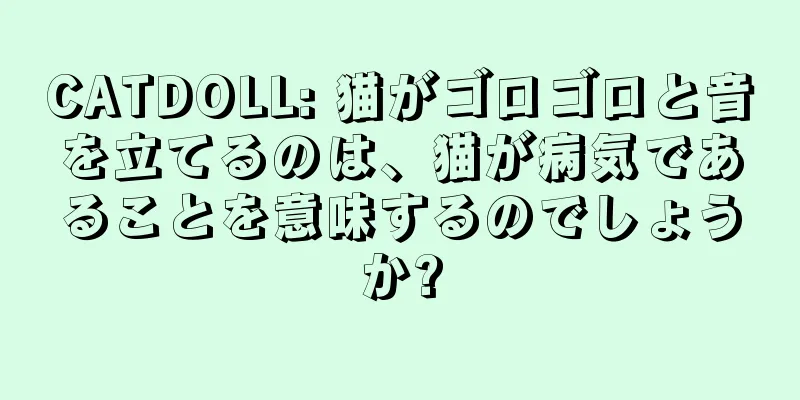 CATDOLL: 猫がゴロゴロと音を立てるのは、猫が病気であることを意味するのでしょうか?