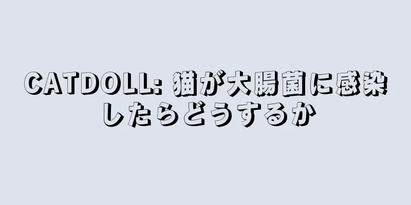 CATDOLL: 猫が大腸菌に感染したらどうするか
