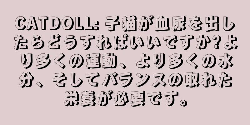 CATDOLL: 子猫が血尿を出したらどうすればいいですか?より多くの運動、より多くの水分、そしてバランスの取れた栄養が必要です。