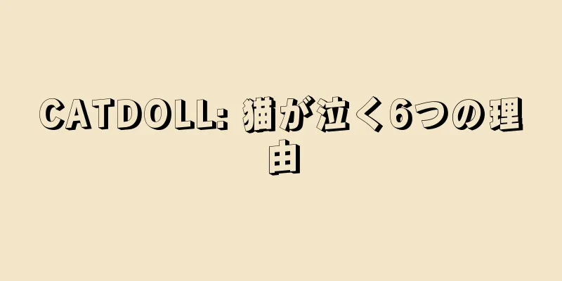 CATDOLL: 猫が泣く6つの理由