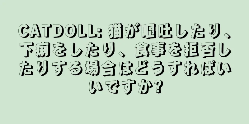 CATDOLL: 猫が嘔吐したり、下痢をしたり、食事を拒否したりする場合はどうすればいいですか?