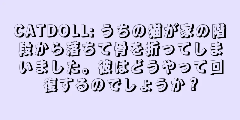 CATDOLL: うちの猫が家の階段から落ちて骨を折ってしまいました。彼はどうやって回復するのでしょうか？
