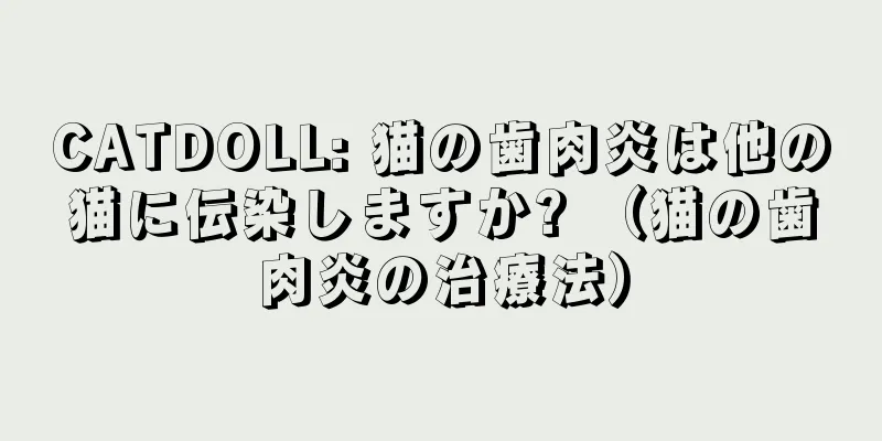 CATDOLL: 猫の歯肉炎は他の猫に伝染しますか? （猫の歯肉炎の治療法）