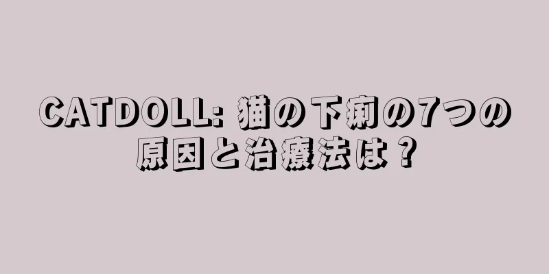 CATDOLL: 猫の下痢の7つの原因と治療法は？