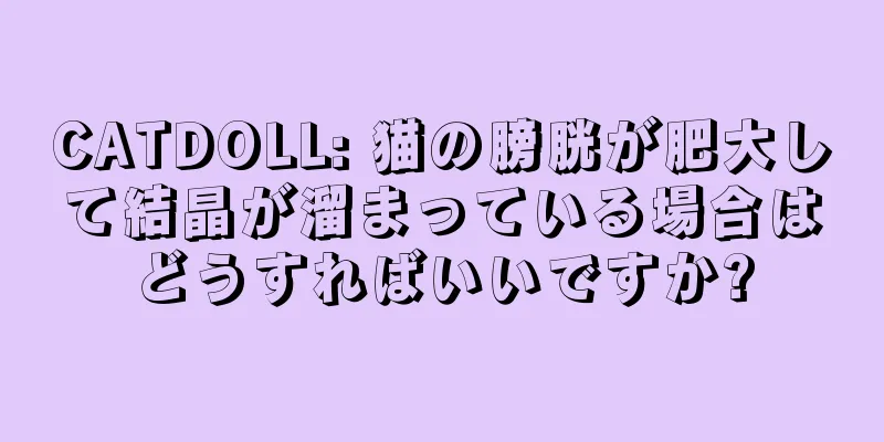 CATDOLL: 猫の膀胱が肥大して結晶が溜まっている場合はどうすればいいですか?