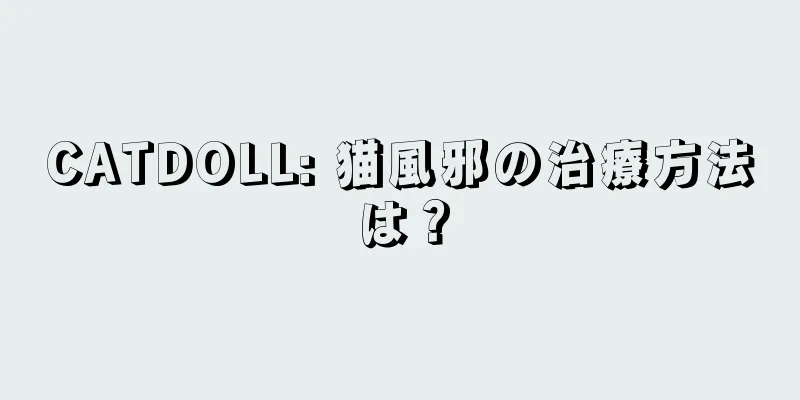 CATDOLL: 猫風邪の治療方法は？