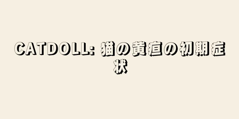 CATDOLL: 猫の黄疸の初期症状