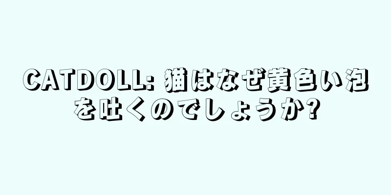 CATDOLL: 猫はなぜ黄色い泡を吐くのでしょうか?