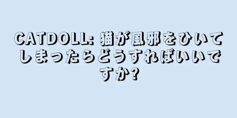CATDOLL: 猫が風邪をひいてしまったらどうすればいいですか?