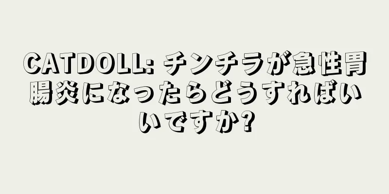 CATDOLL: チンチラが急性胃腸炎になったらどうすればいいですか?