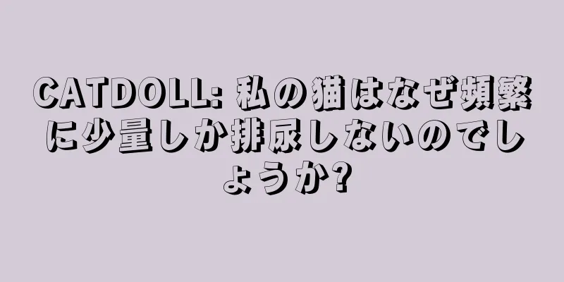 CATDOLL: 私の猫はなぜ頻繁に少量しか排尿しないのでしょうか?