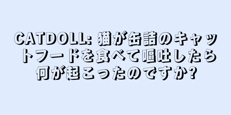 CATDOLL: 猫が缶詰のキャットフードを食べて嘔吐したら何が起こったのですか?