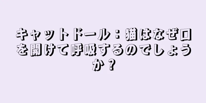 キャットドール：猫はなぜ口を開けて呼吸するのでしょうか？