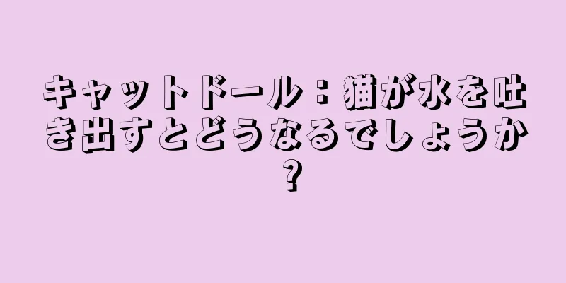 キャットドール：猫が水を吐き出すとどうなるでしょうか？