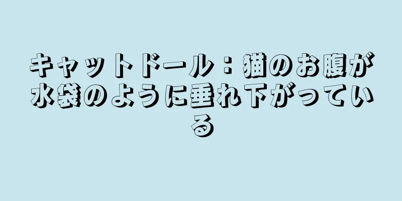 キャットドール：猫のお腹が水袋のように垂れ下がっている