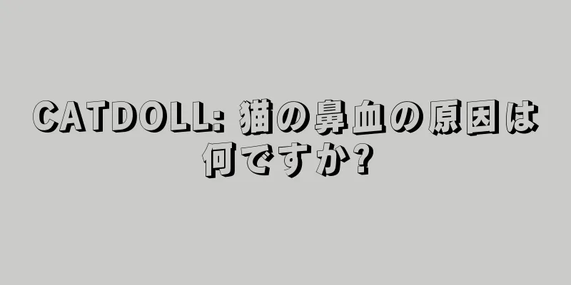 CATDOLL: 猫の鼻血の原因は何ですか?