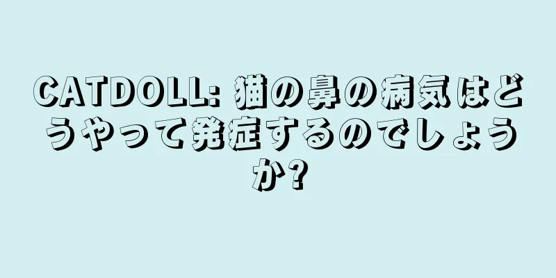 CATDOLL: 猫の鼻の病気はどうやって発症するのでしょうか?