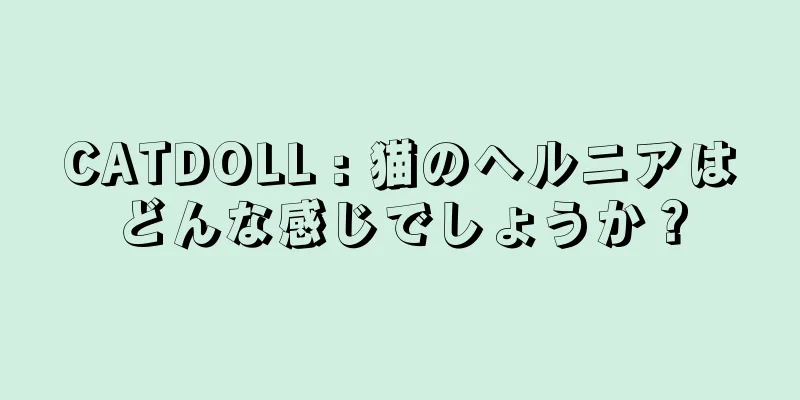 CATDOLL : 猫のヘルニアはどんな感じでしょうか？