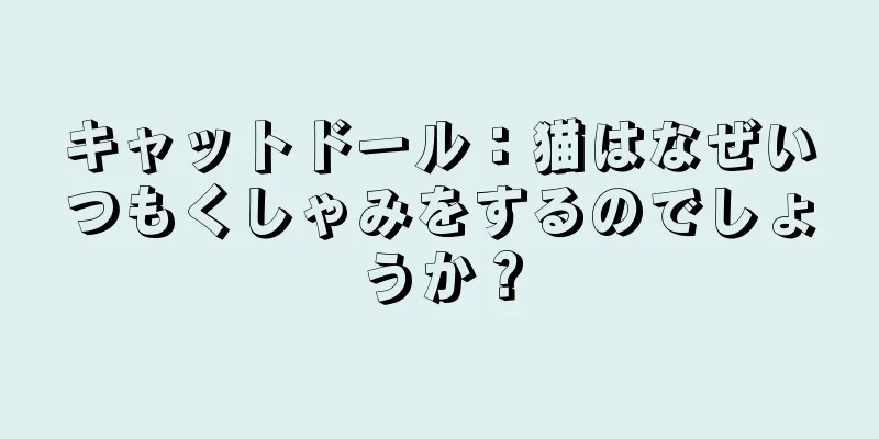 キャットドール：猫はなぜいつもくしゃみをするのでしょうか？