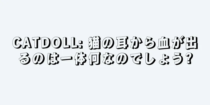 CATDOLL: 猫の耳から血が出るのは一体何なのでしょう?