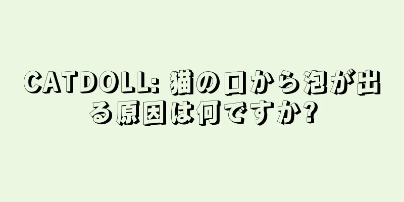 CATDOLL: 猫の口から泡が出る原因は何ですか?