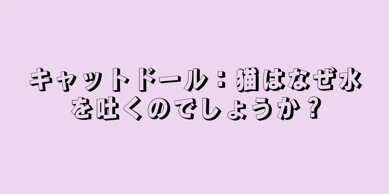 キャットドール：猫はなぜ水を吐くのでしょうか？
