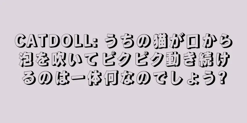 CATDOLL: うちの猫が口から泡を吹いてピクピク動き続けるのは一体何なのでしょう?