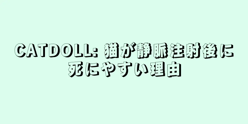 CATDOLL: 猫が静脈注射後に死にやすい理由