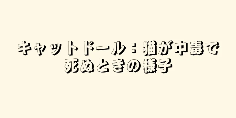 キャットドール：猫が中毒で死ぬときの様子