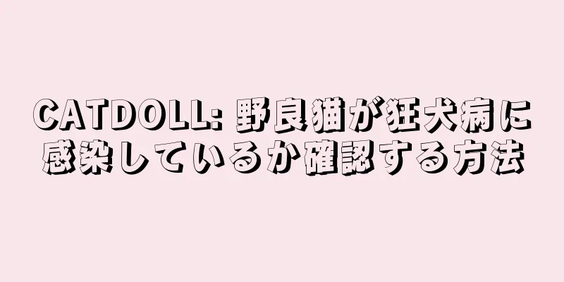 CATDOLL: 野良猫が狂犬病に感染しているか確認する方法