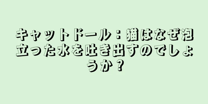キャットドール：猫はなぜ泡立った水を吐き出すのでしょうか？
