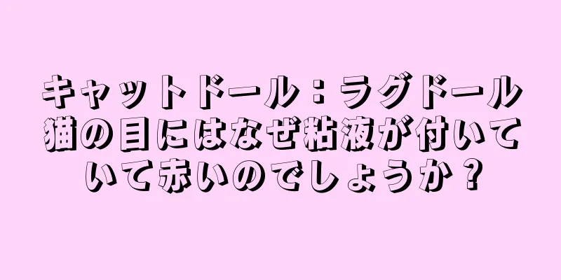 キャットドール：ラグドール猫の目にはなぜ粘液が付いていて赤いのでしょうか？