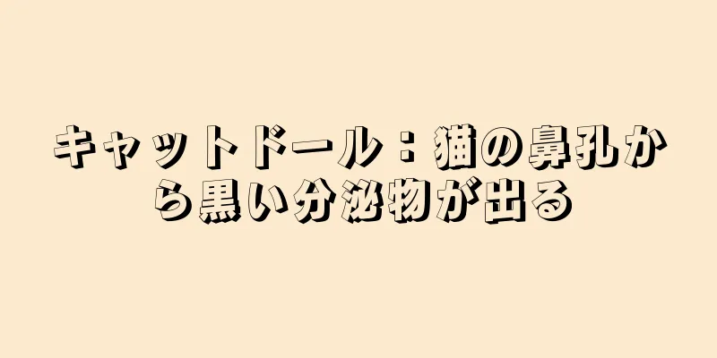 キャットドール：猫の鼻孔から黒い分泌物が出る