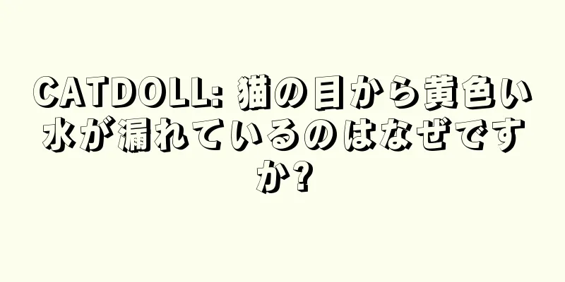 CATDOLL: 猫の目から黄色い水が漏れているのはなぜですか?