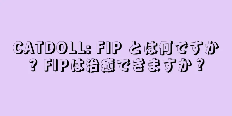 CATDOLL: FIP とは何ですか? FIPは治癒できますか？