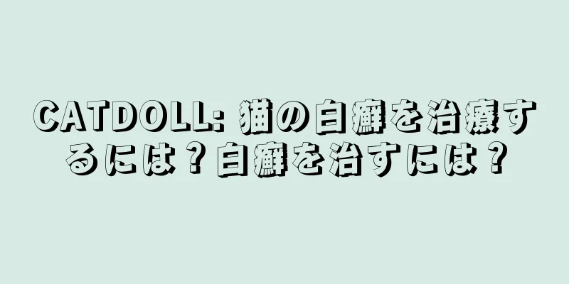 CATDOLL: 猫の白癬を治療するには？白癬を治すには？