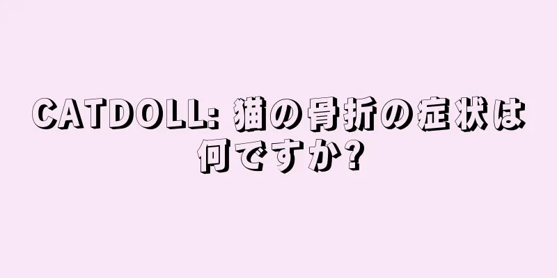 CATDOLL: 猫の骨折の症状は何ですか?