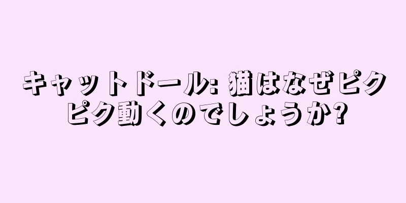 キャットドール: 猫はなぜピクピク動くのでしょうか?