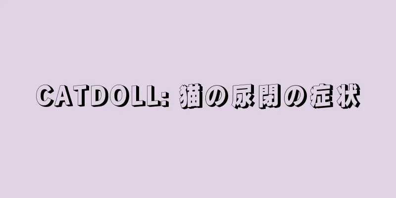 CATDOLL: 猫の尿閉の症状