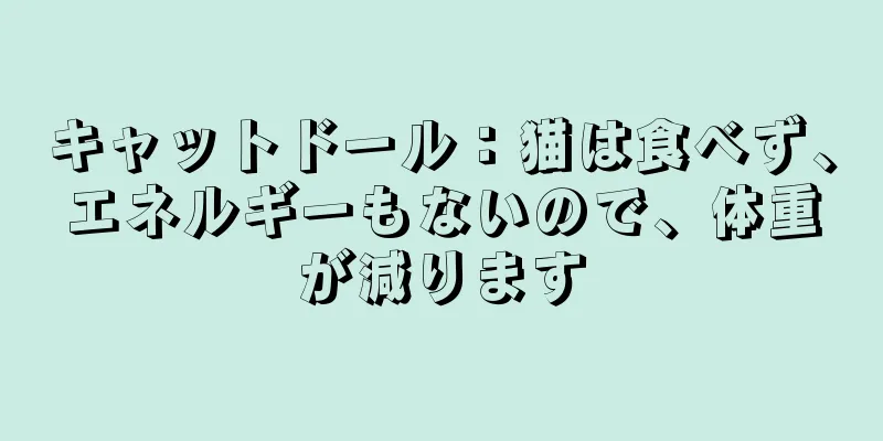 キャットドール：猫は食べず、エネルギーもないので、体重が減ります