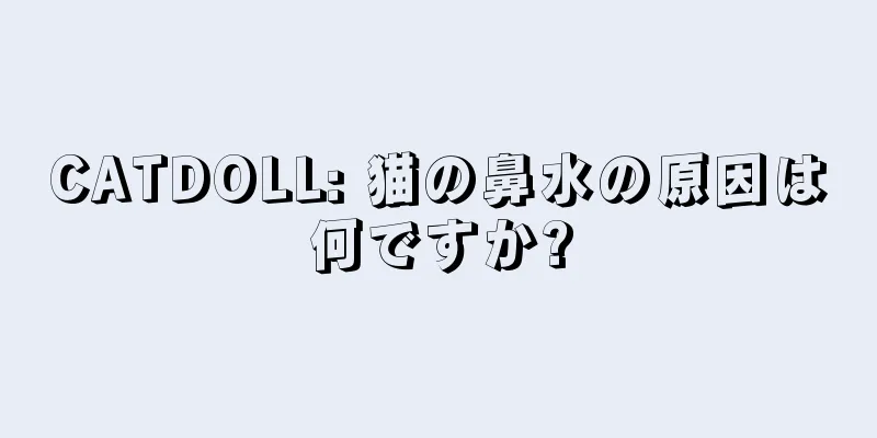 CATDOLL: 猫の鼻水の原因は何ですか?